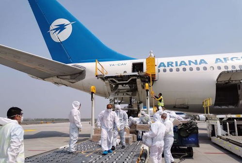 沈阳机场顺利完成首架“客改货”包机保障任务 开创航空运输代理新模式